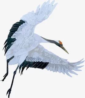 中国风手绘仙鹤素材免抠