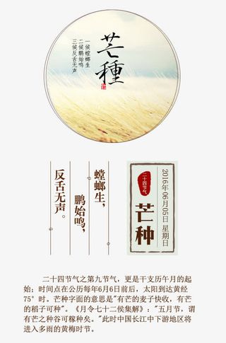 二十四节气之芒种免抠