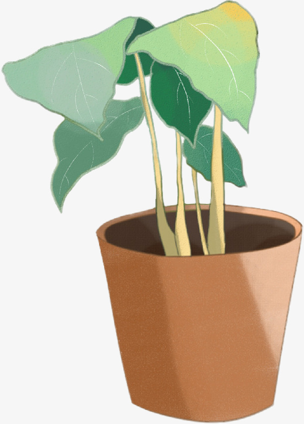 春天的植物花盆免抠