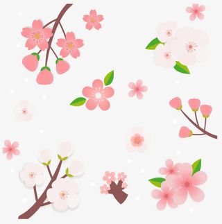 卡通清新樱花免抠
