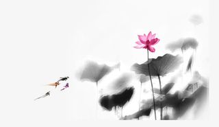 中国风水墨画莲花免抠素材免抠