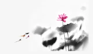 中国风水墨画莲花免抠素材免抠