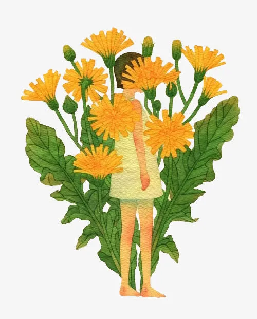 菊花中的女孩免抠