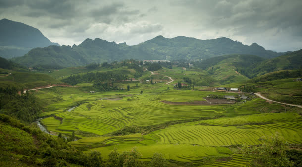 绿色清新草地野外风景免抠