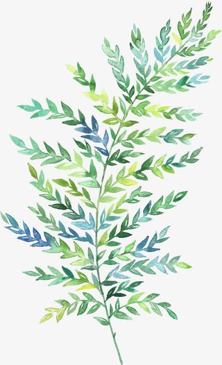 水墨画双子叶树枝叶免抠