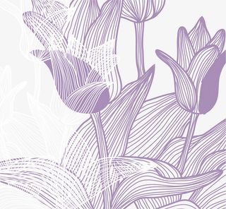 矢量鲜花叶子线描图免抠