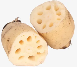 一根切开的莲藕免抠