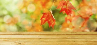 复古桌面梦幻枫叶背景高清