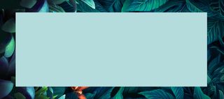 电商夏季绿色小清新简约海报banner高清