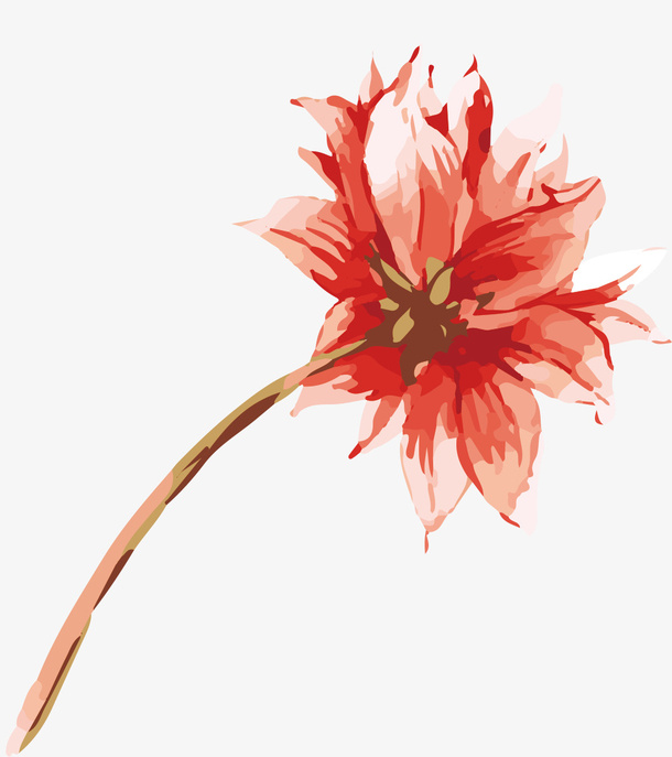 鲜花免抠