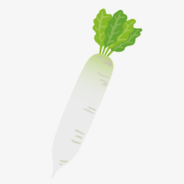 美味的大白萝卜简图免抠