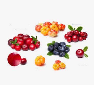 创意水果免抠