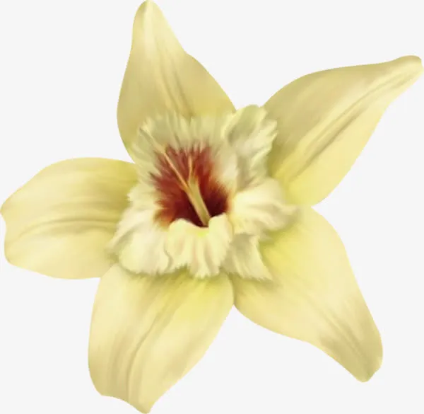 米色鲜花花蕊免抠