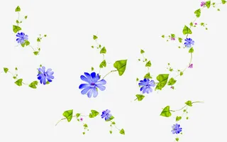 漂浮漂亮花枝免抠