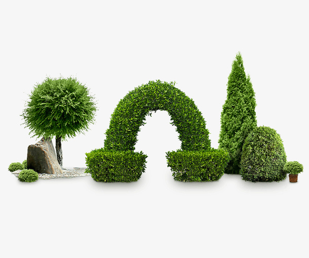 绿色植物与盆栽免抠