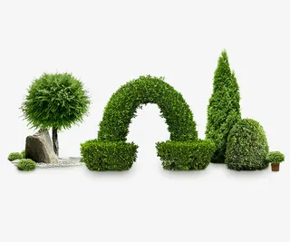 绿色植物与盆栽免抠