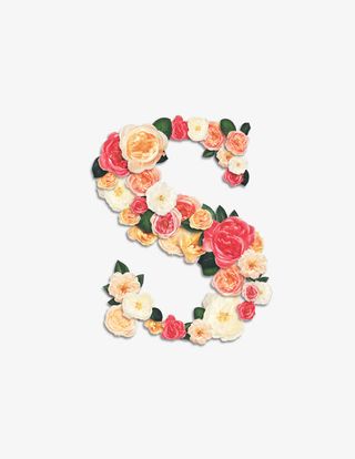 鲜花拼字母S免抠