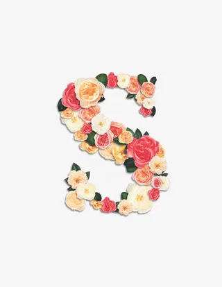 鲜花拼字母S免抠