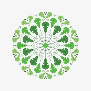 树叶圆圈图免抠