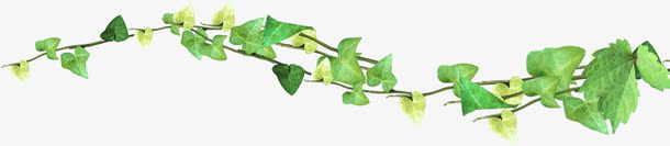 绿叶藤蔓植物装饰免抠