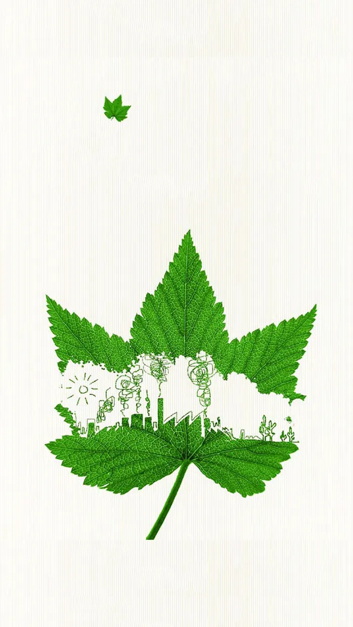 简约绿色枫叶H5背景素材高清