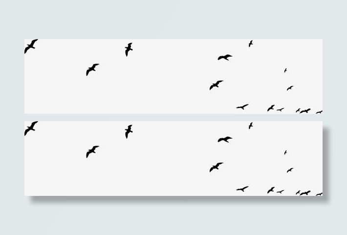 黑色大雁漂浮飞翔大雁免抠