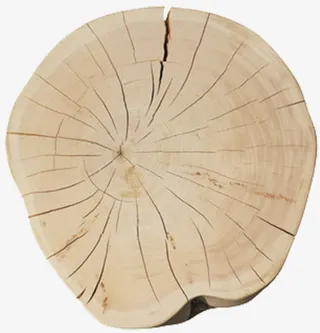 古榕树木桩木头截面裂纹免抠