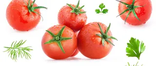 番茄背景高清