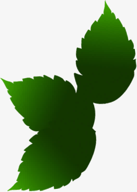 绿色渐变艺术树叶免抠