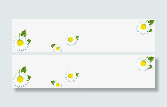 白色小雏菊免抠