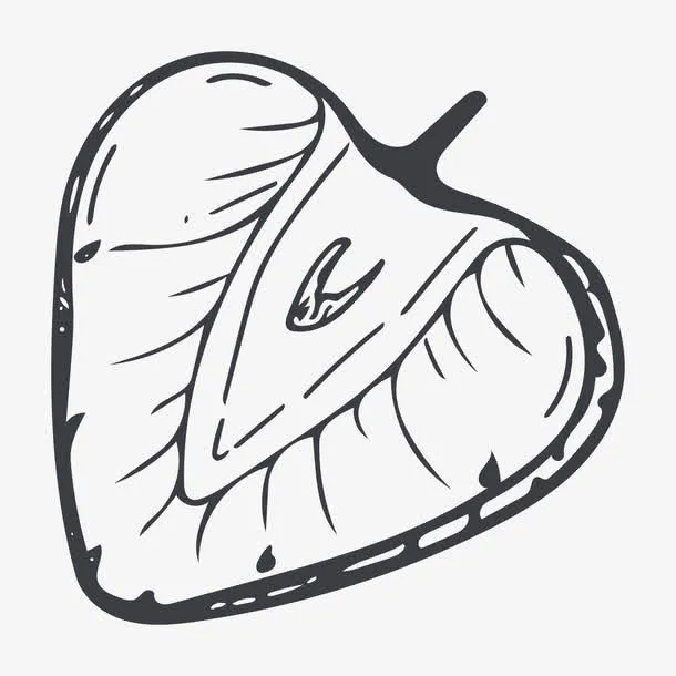 线描草莓免抠