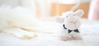 毛绒玩具背景高清