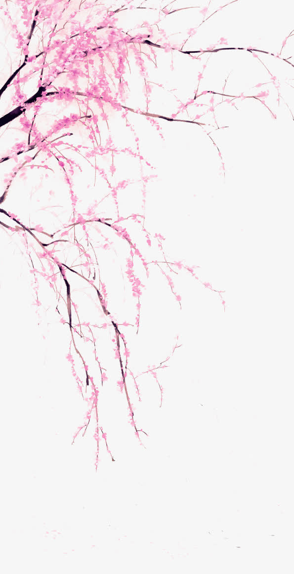 中国风桃树桃花免抠