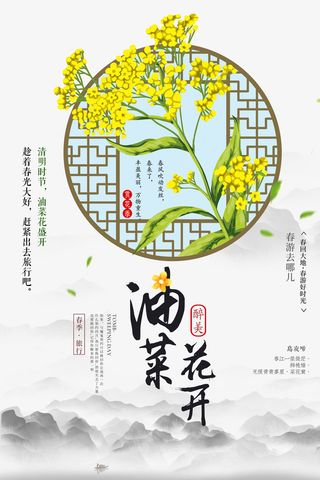 清明时节油菜花盛开免抠