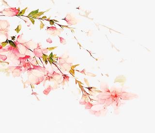 手绘浪漫唯美桃花枝免抠