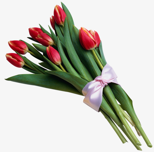 郁金香花束花卉免抠