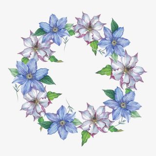 紫藤花花环免抠