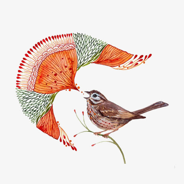 彩色插画手绘花鸟免抠