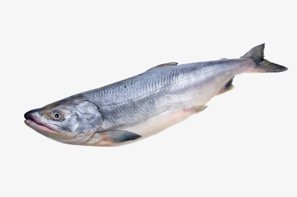 日式料理海鱼免抠