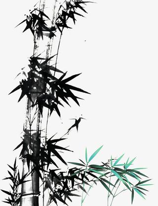 中国风水墨竹子免抠