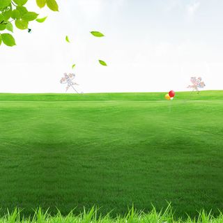 绿色叶子草地出游季踏青主图背景高清