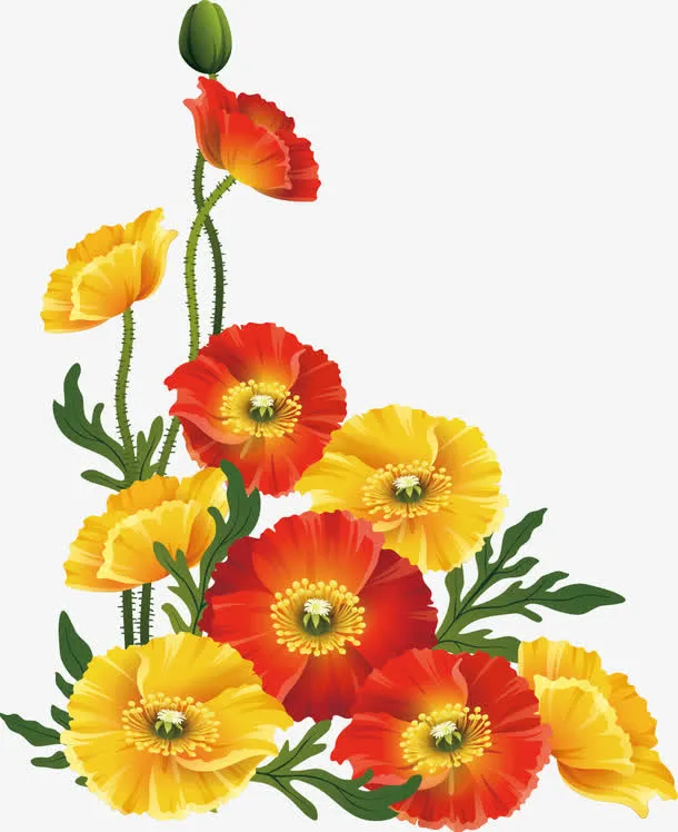 春暖花开免抠