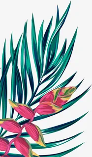 植物园叶子，绘画叶子，绿色叶子，细长叶子免抠