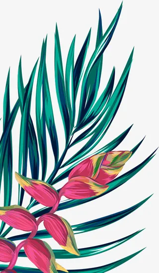 植物园叶子，绘画叶子，绿色叶子，细长叶子免抠