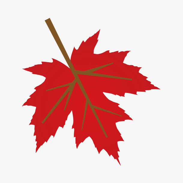 矢量艺术植物树叶免抠