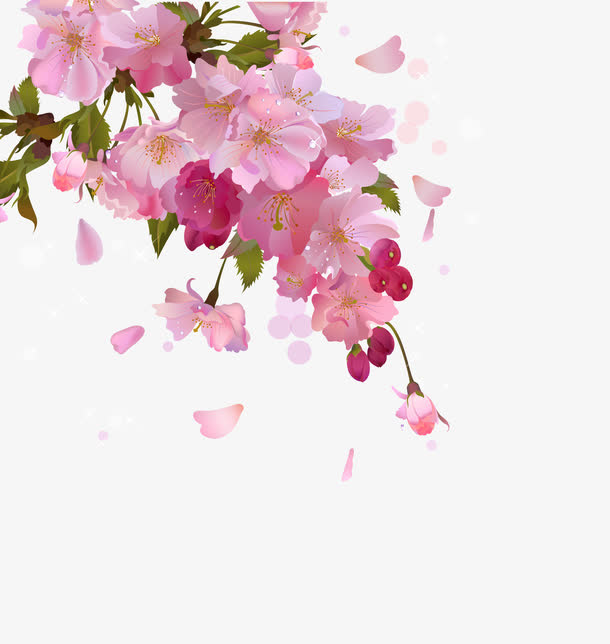 粉色的花免抠