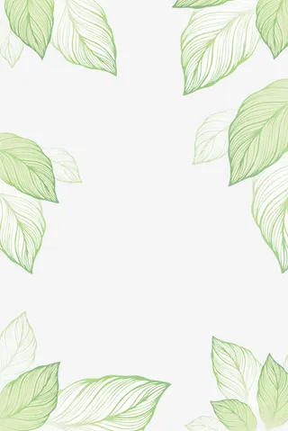 小清新叶子装饰边框免抠