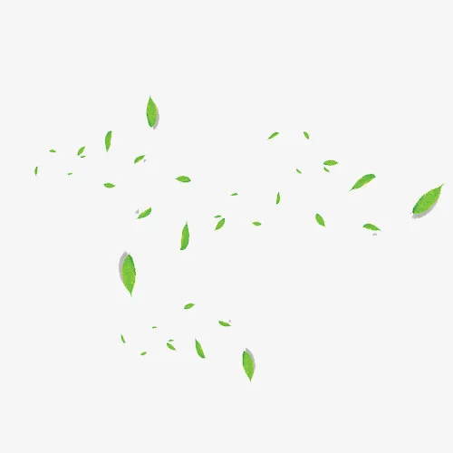 漂浮的树叶免抠