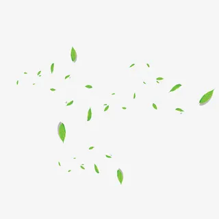 漂浮的树叶免抠