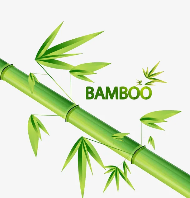 竹子矢量免抠
